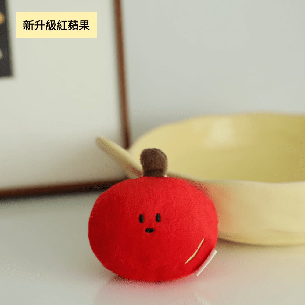 【✨超人氣商品✨】25款 一般版 手工刺繡掛件